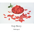 New Crop Goji Berry 2017 Organic Goji Berry
